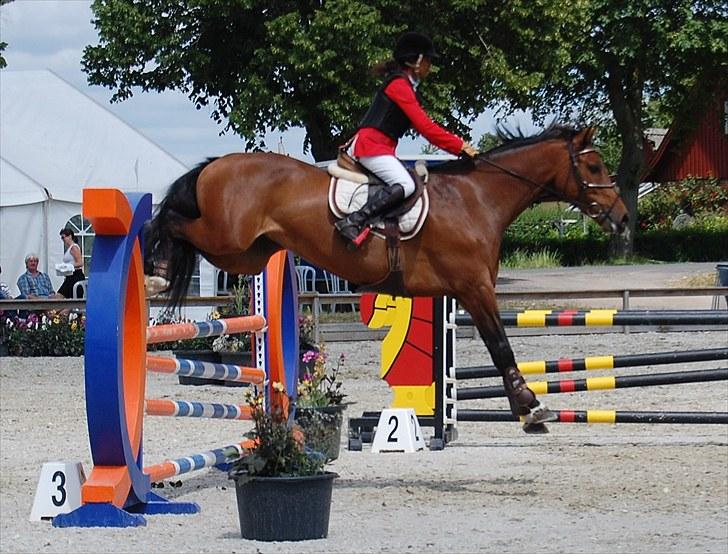 Billeder fra Riders Cup til andre billede 106