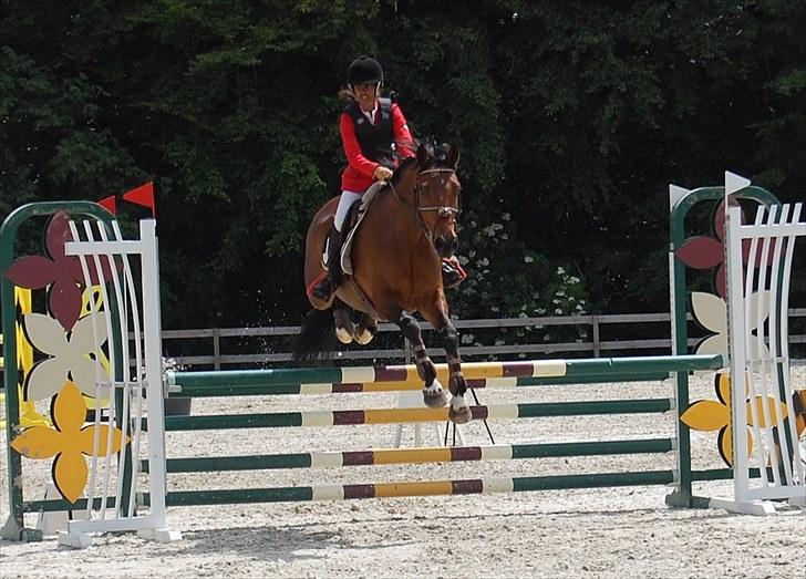 Billeder fra Riders Cup til andre billede 108