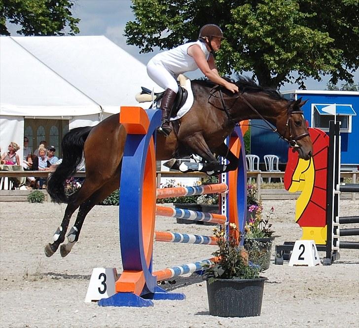 Billeder fra Riders Cup til andre billede 110