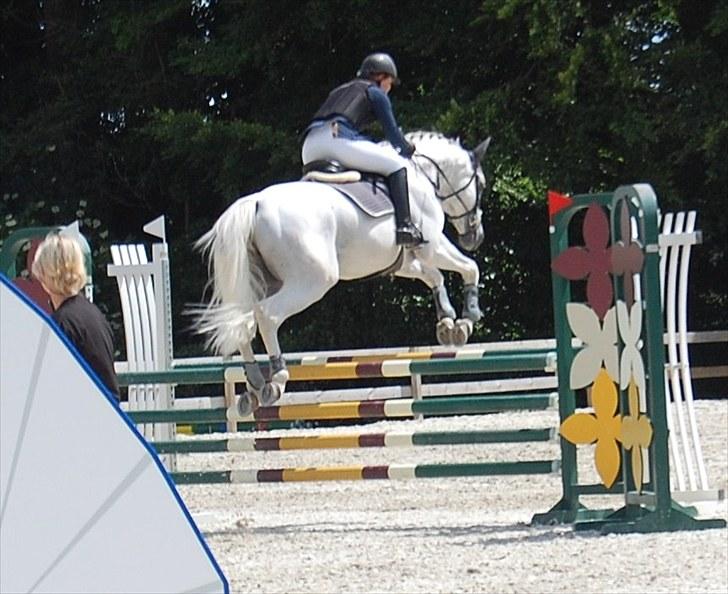 Billeder fra Riders Cup til andre billede 111