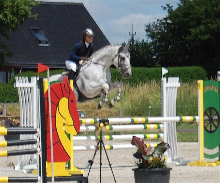 Billeder fra Riders Cup til andre billede 112