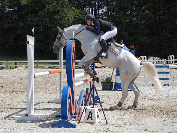 Billeder fra Riders Cup til andre billede 114