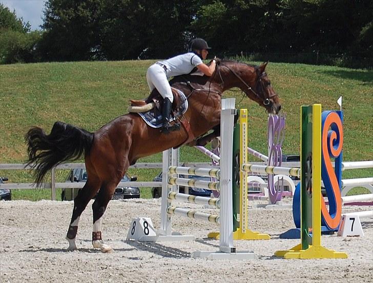 Billeder fra Riders Cup til andre billede 116