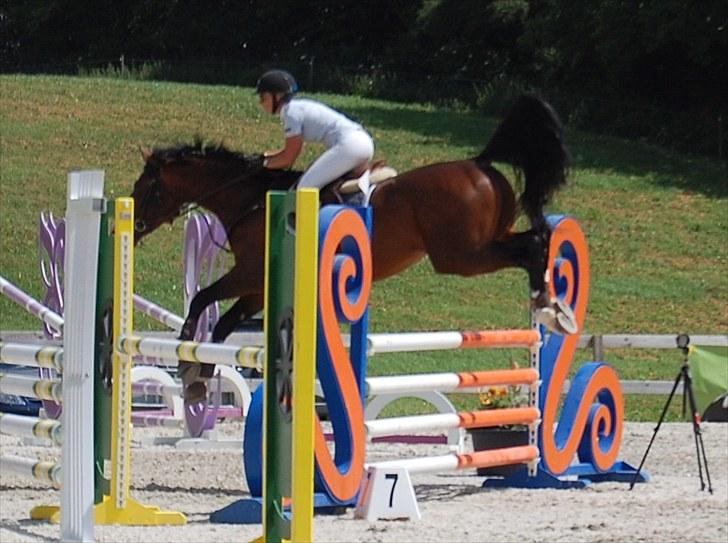 Billeder fra Riders Cup til andre billede 117