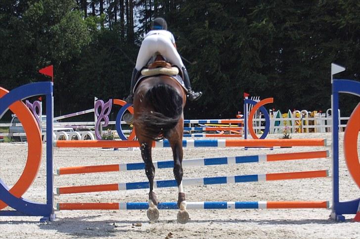 Billeder fra Riders Cup til andre billede 118