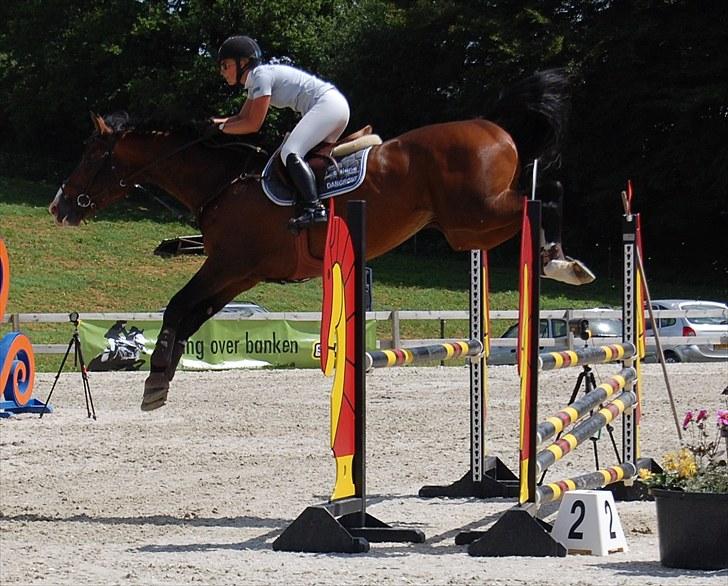 Billeder fra Riders Cup til andre billede 119