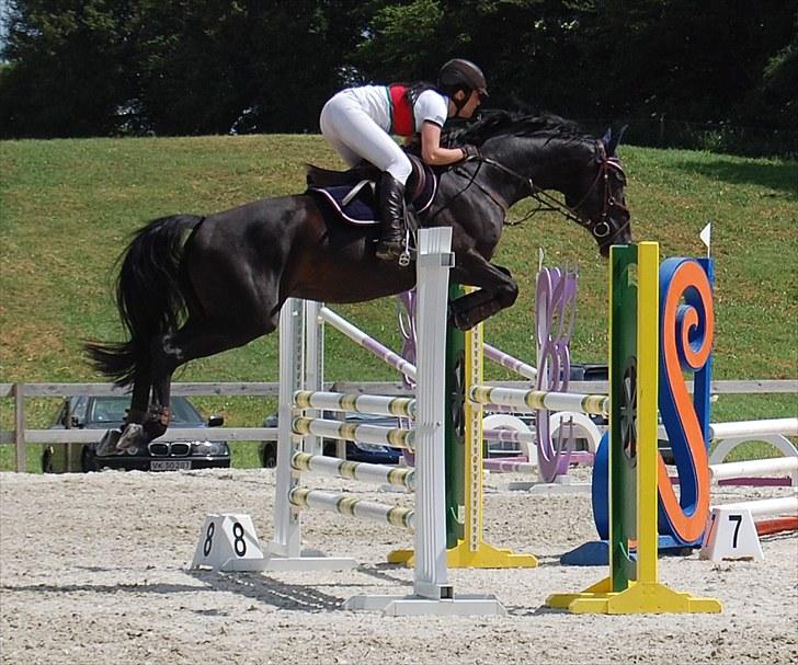 Billeder fra Riders Cup til andre billede 122