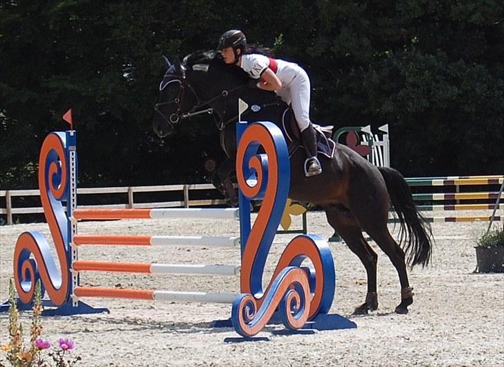 Billeder fra Riders Cup til andre billede 123