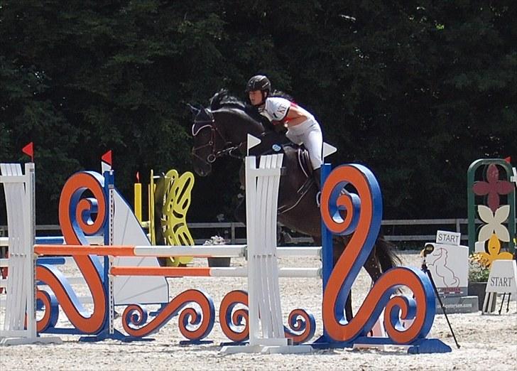 Billeder fra Riders Cup til andre billede 124