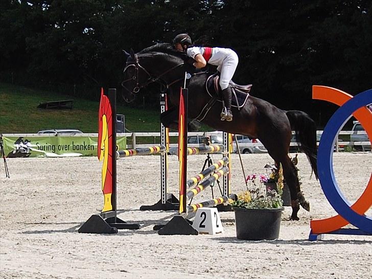 Billeder fra Riders Cup til andre billede 127