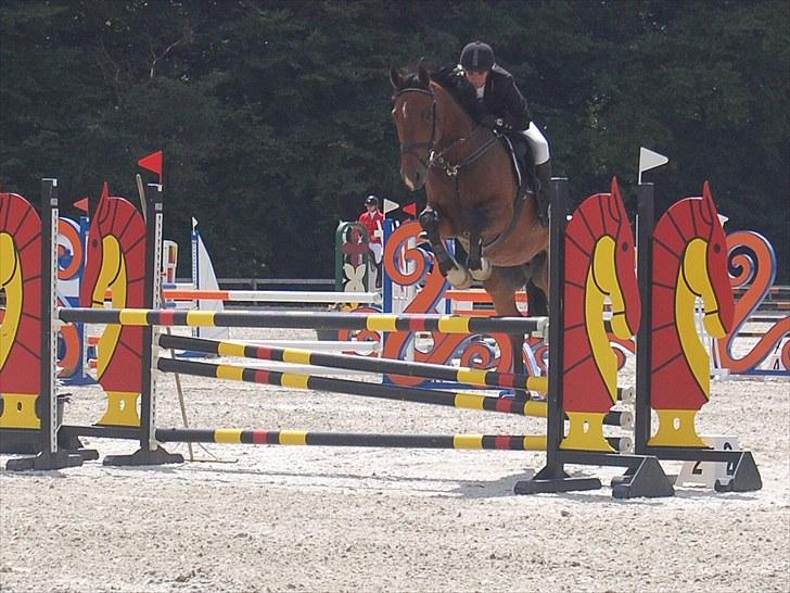 Billeder fra Riders Cup til andre billede 128