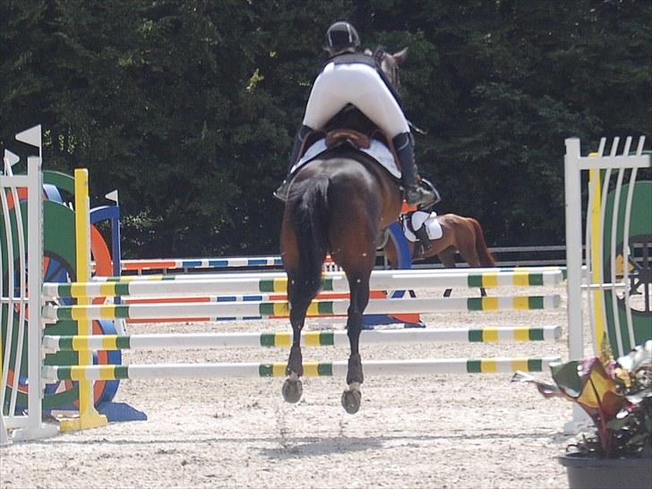 Billeder fra Riders Cup til andre billede 130