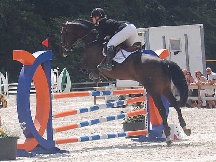 Billeder fra Riders Cup til andre billede 132