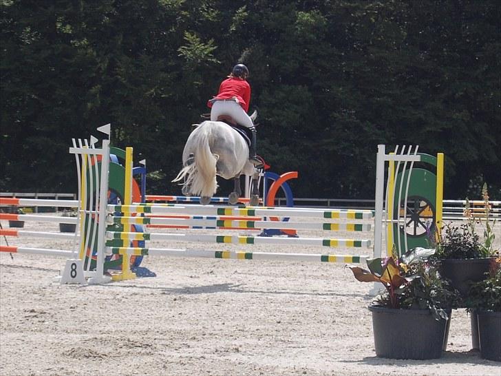 Billeder fra Riders Cup til andre billede 134