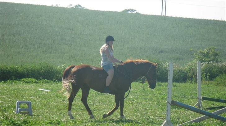 Calidos og jeg hygger lidt på springbanen;) billede 10