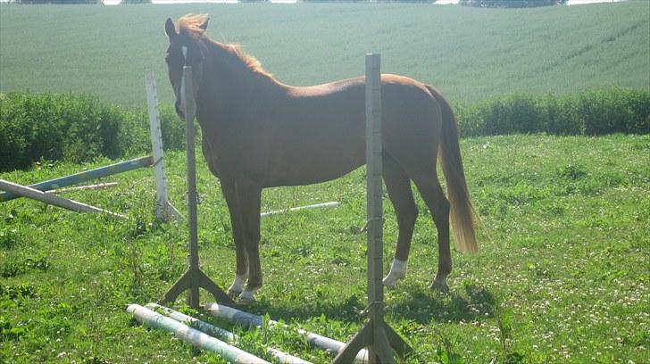 Calidos og jeg hygger lidt på springbanen;) - Moar! ;p Du kan ikke finde mig xD billede 21