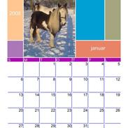 Kalender