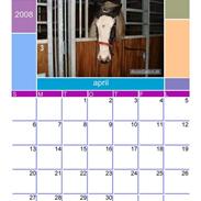 Kalender