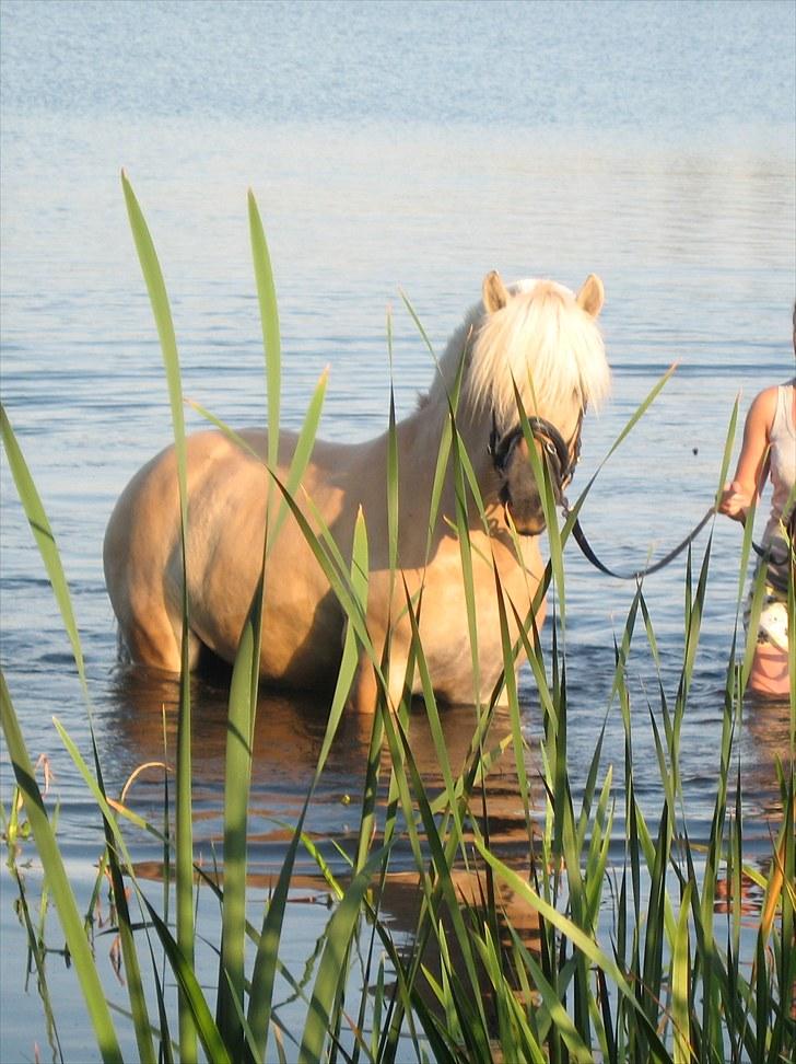 Guldpigen på badetur :b billede 2