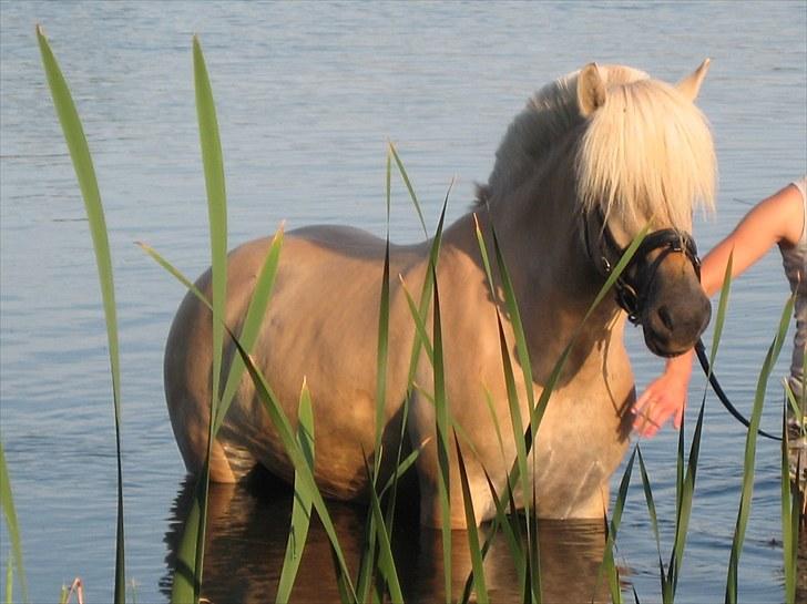 Guldpigen på badetur :b billede 3