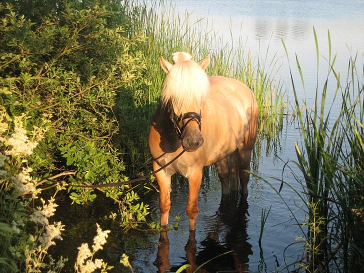 Guldpigen på badetur :b billede 6