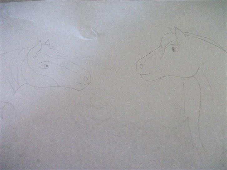 Mine tegninger af Spirit læg gerne en kommentar - Spirit og Rain billede 5