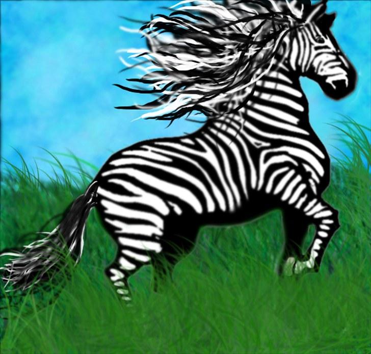 Mine Tegninger - En Zebra der skulle være lidt heste aktig...(man og hale) billede 1