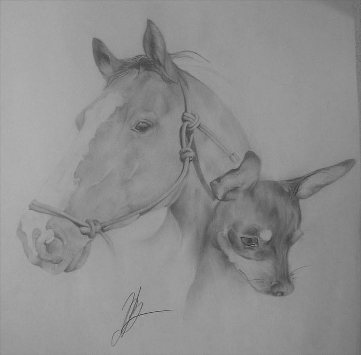 .. Tegninger :) | Åben for bestillinger. - Så blev den endelig helt færdig og klar til at blive sendt :) er selv rimelig stolt af den. billede 12