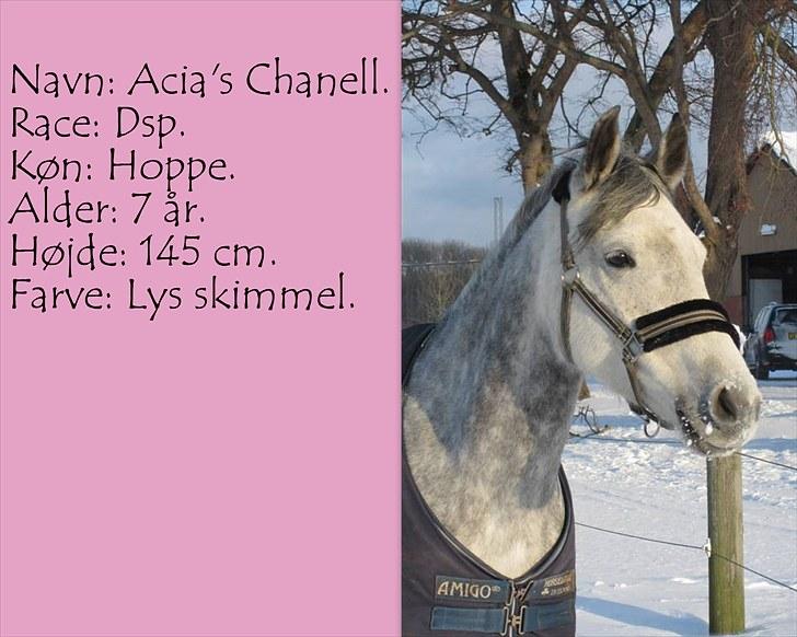 De salgsponyer jeg har prøvet :-) - tidligere GÆTTEKONKURRENCE; LUKKET!  billede 1