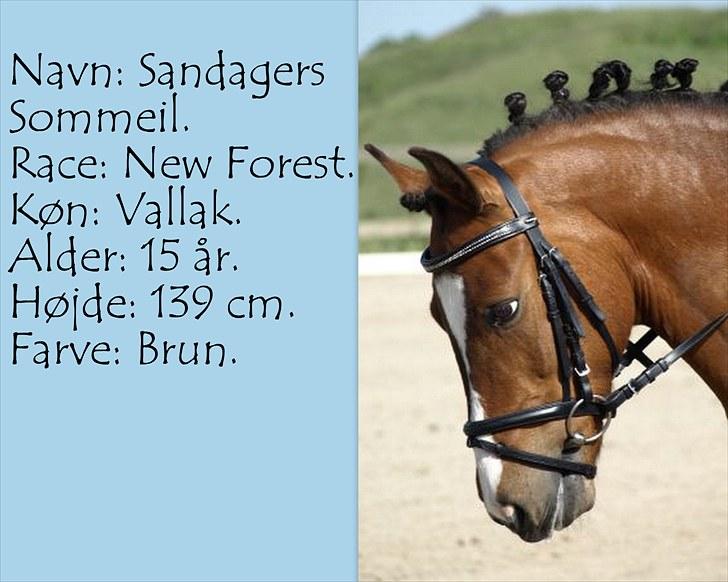 De salgsponyer jeg har prøvet :-) - tidligere GÆTTEKONKURRENCE; LUKKET!  billede 12