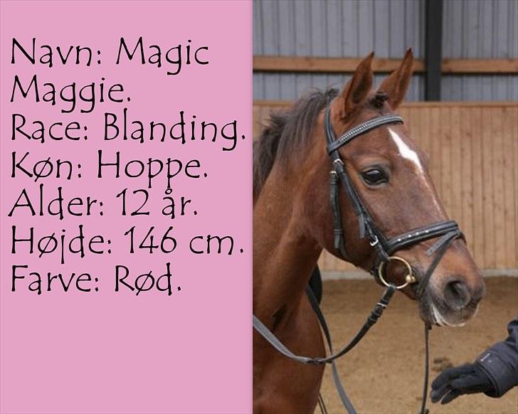 De salgsponyer jeg har prøvet :-) - tidligere GÆTTEKONKURRENCE; LUKKET!  billede 9