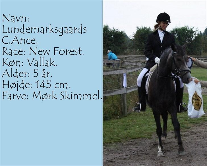 De salgsponyer jeg har prøvet :-) - tidligere GÆTTEKONKURRENCE; LUKKET!  - Dette er ikke mig de rider!
 billede 8