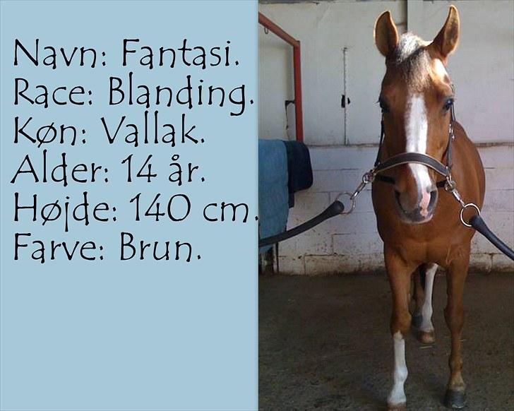 De salgsponyer jeg har prøvet :-) - tidligere GÆTTEKONKURRENCE; LUKKET!  billede 6