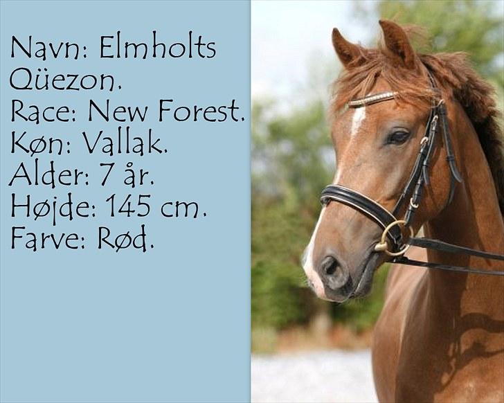 De salgsponyer jeg har prøvet :-) - tidligere GÆTTEKONKURRENCE; LUKKET!  billede 5