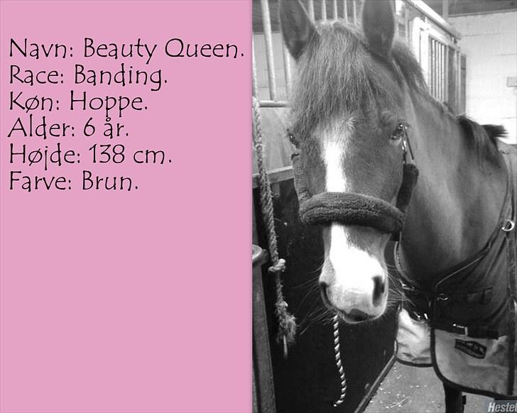 De salgsponyer jeg har prøvet :-) - tidligere GÆTTEKONKURRENCE; LUKKET!  billede 2
