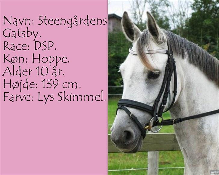 De salgsponyer jeg har prøvet :-) - tidligere GÆTTEKONKURRENCE; LUKKET!  billede 13