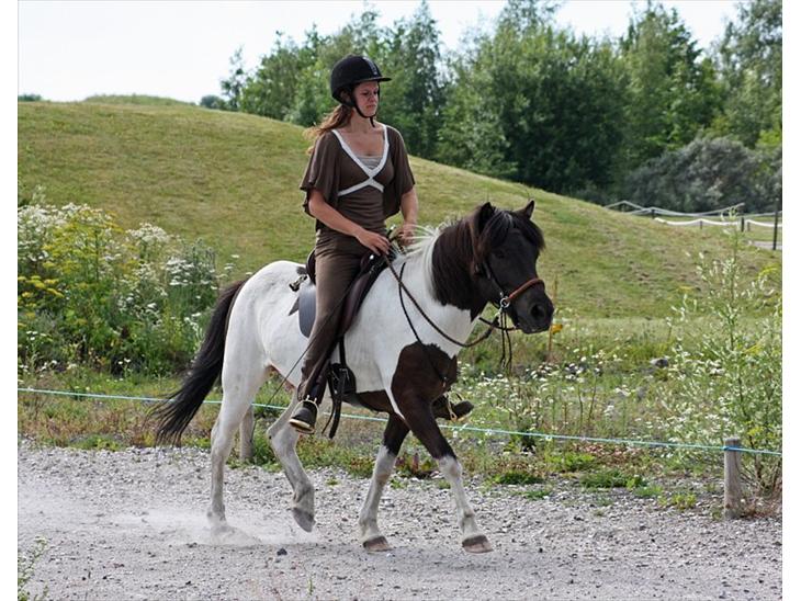 {{currentPhoto.altText}} billede {{currentPhoto.number}}