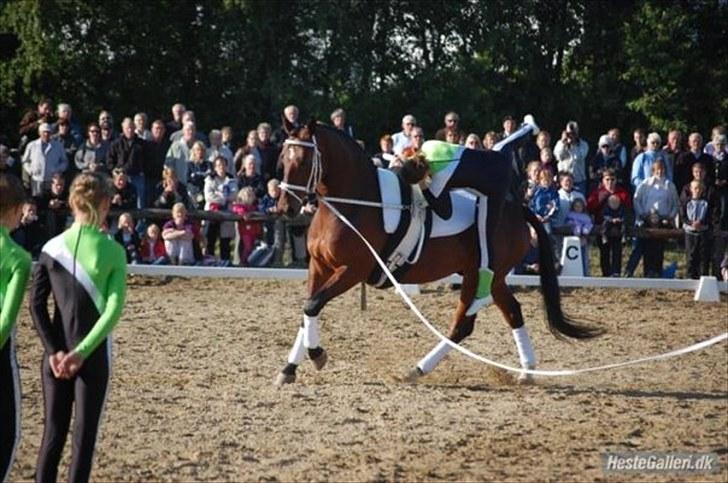 Voltigering <3 - Opvisning i herning billede 4