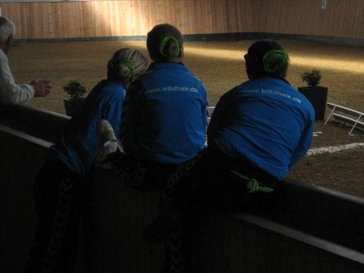 Voltigering <3 - Stævne i TØRK billede 5