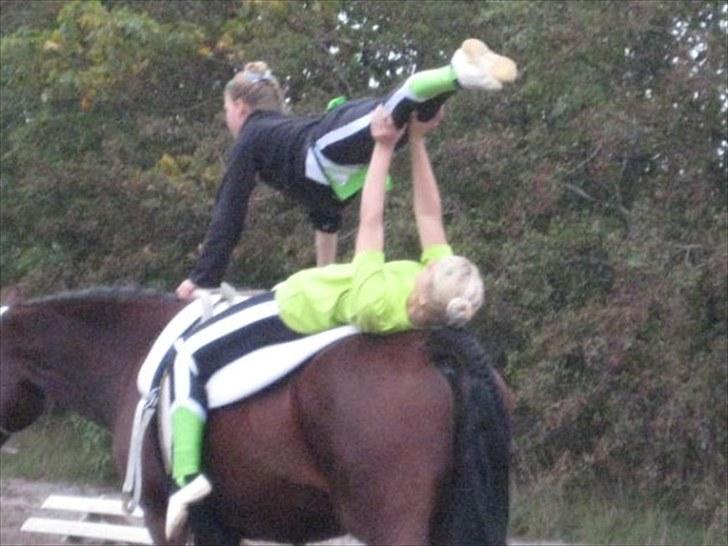 Voltigering <3 - Mig og cille <3
opvarmning til DM i BIS billede 8