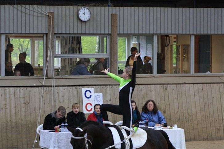 Voltigering <3 - Mig i kür :D
BSR 2010 billede 11