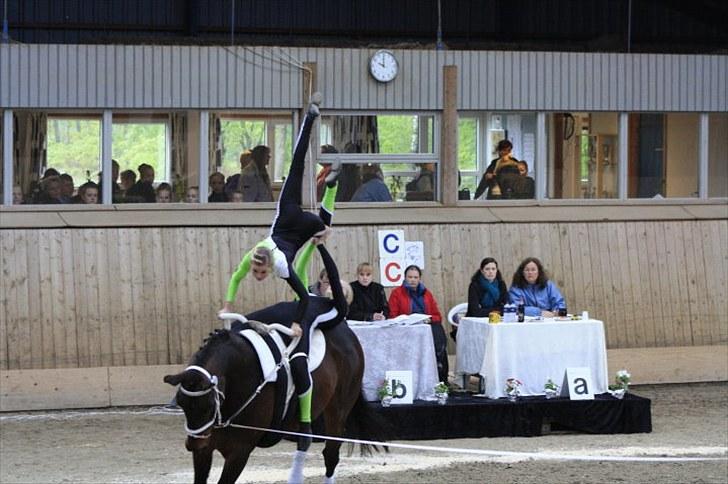Voltigering <3 - Mig og cillekür
BSR 2010 :D billede 13