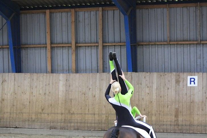 Voltigering <3 - Mig og cillekür
BSR 2010 :D billede 14