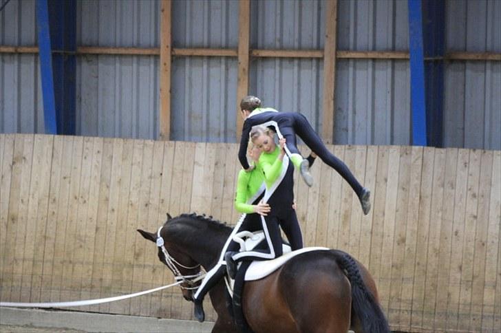 Voltigering <3 billede 16