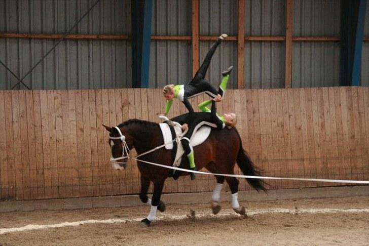 Voltigering <3 - Mig og cillekür
BSR 2010 :D billede 20