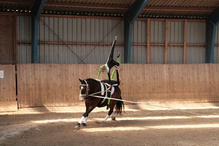 Voltigering <3 - Mig og cille
kür barmming 2010 billede 22