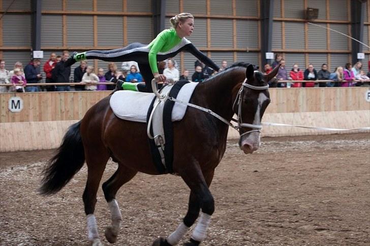 Voltigering <3 - Mig fane, 

Hold obli
i hvidove billede 35