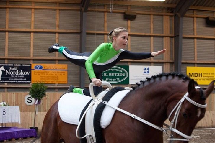 Voltigering <3 - Mig fane
i hvidovre

Individuel obli :D billede 36