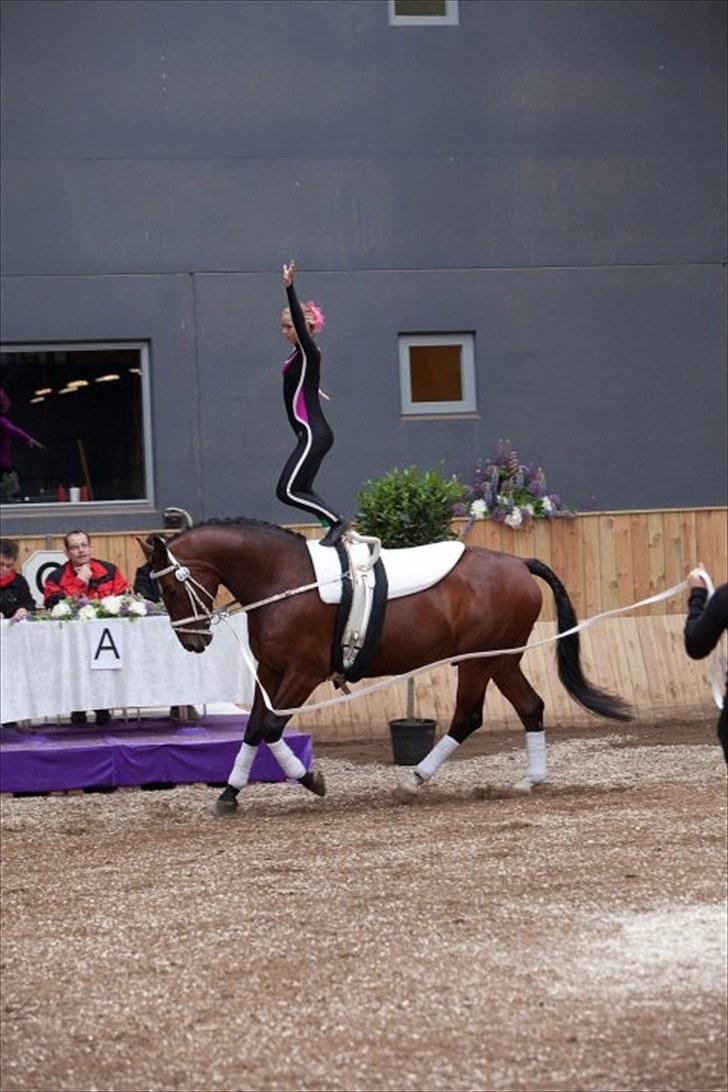 Voltigering <3 - Mig individuel kür i hvidovre :D billede 37