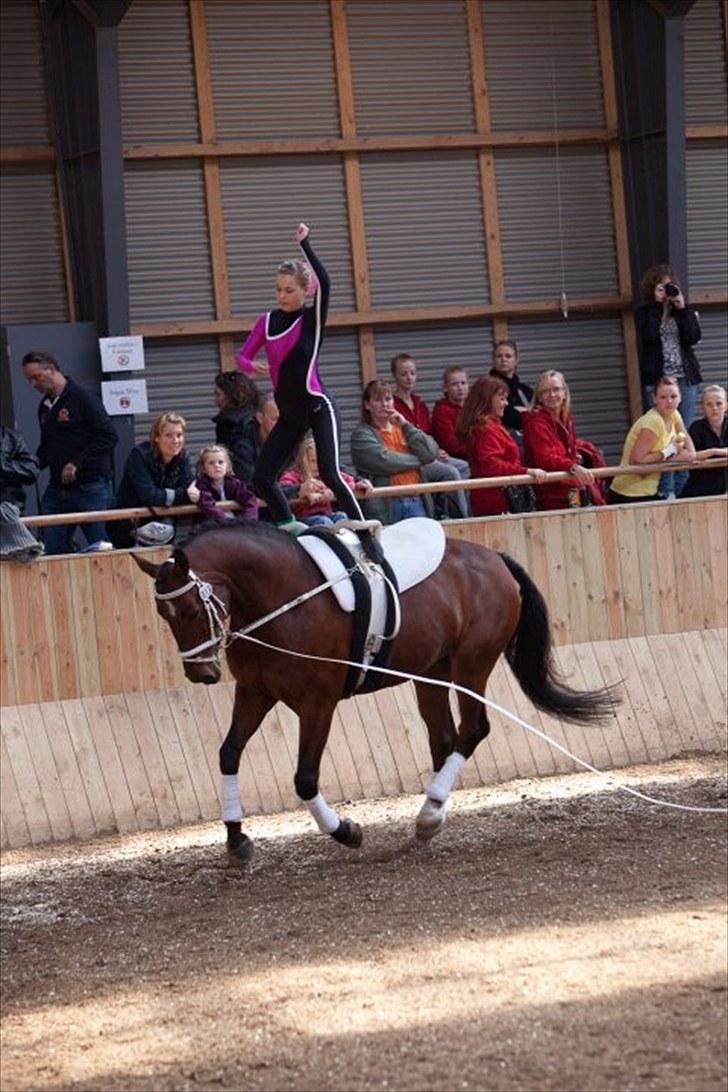 Voltigering <3 - Mig individuel kür i hvidovre ;D

Jeg fik 3 plads ud af 11 :D billede 38